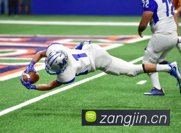 开云官方版入口服务体系